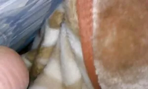 Isotissinen suomi pirno Blondi koskettaa naapureita.